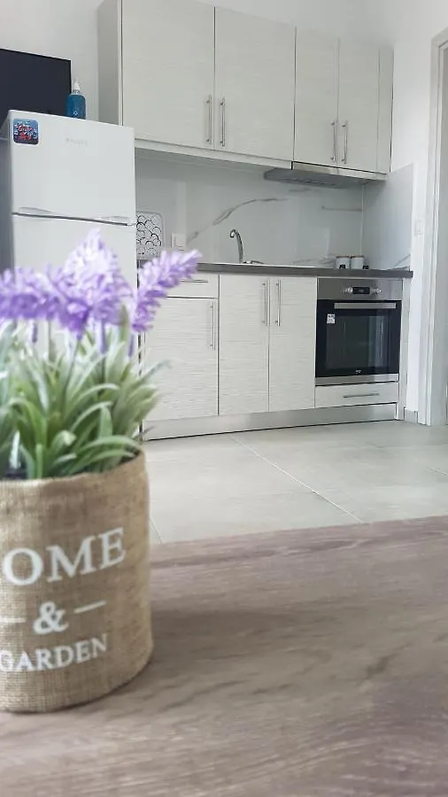 Erika Boutique Apartments 尼基季 0*,